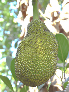 地狱男爵：血皇后崛起（原声版）