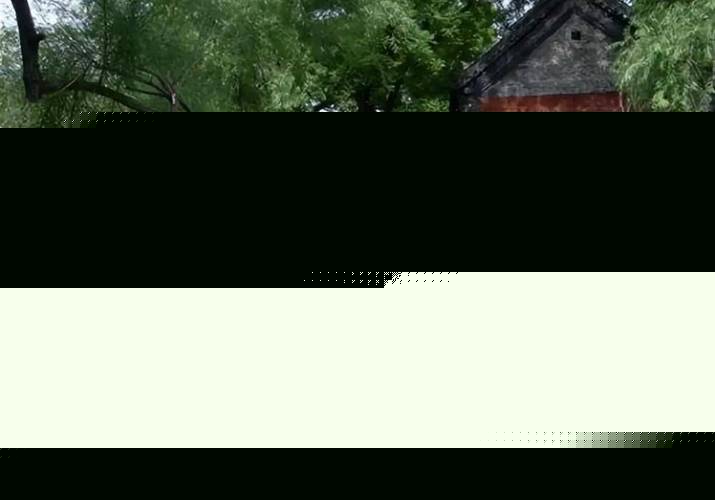 千禧危机(国语版)