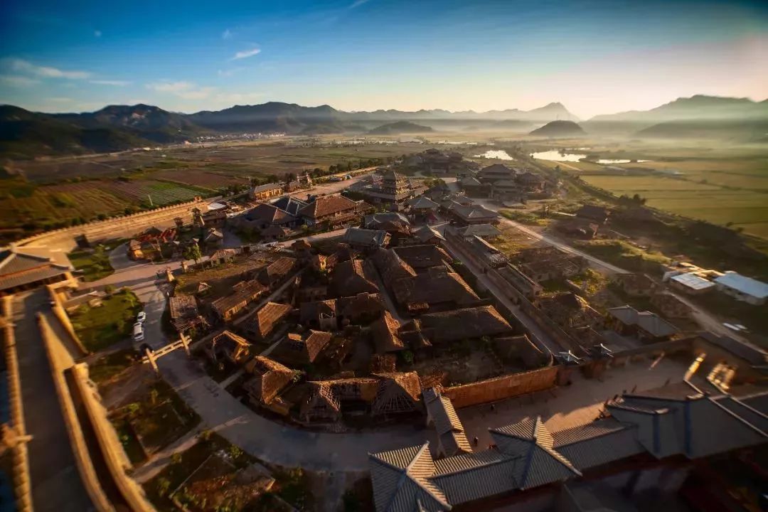 动物园里有什么？