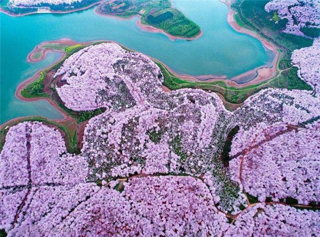 千机变Ⅱ花都大战