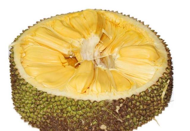 功夫小子闯情关