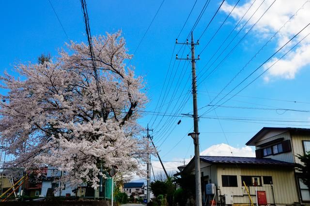 十月初五的月光（国语版）