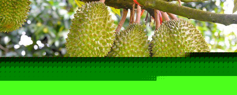 办公室僵尸起义