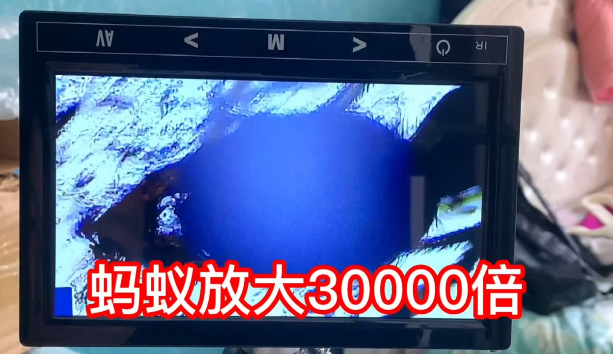 北京女子图鉴之失恋直播